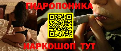 прущие крисы Тулун