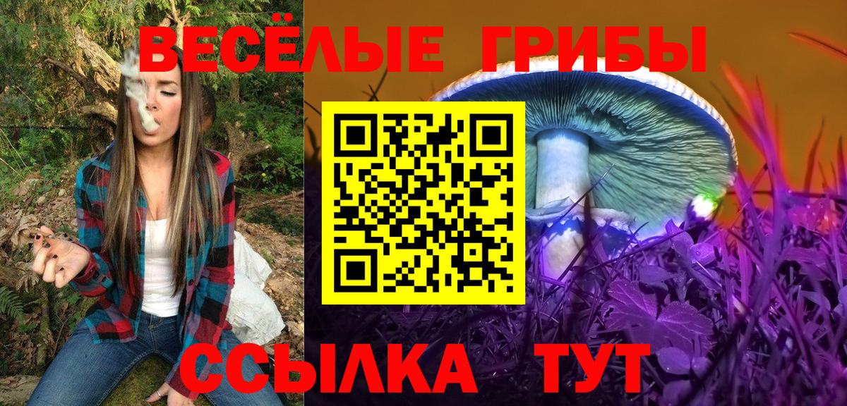 Нововоронеж  Галлюциногенные грибы Magic Shrooms  Вход с VPN  Галлюциногенные грибы Magic Shrooms 